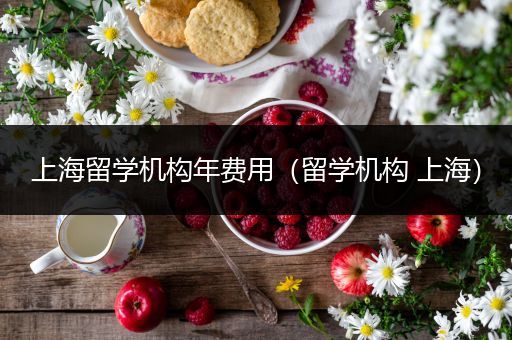 上海留学机构年费用（留学机构 上海）