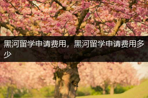 黑河留学申请费用，黑河留学申请费用多少
