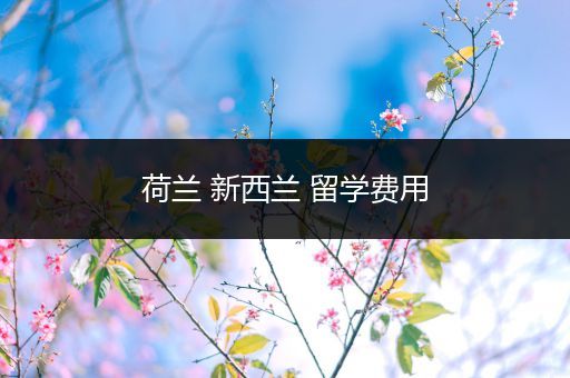荷兰 新西兰 留学费用