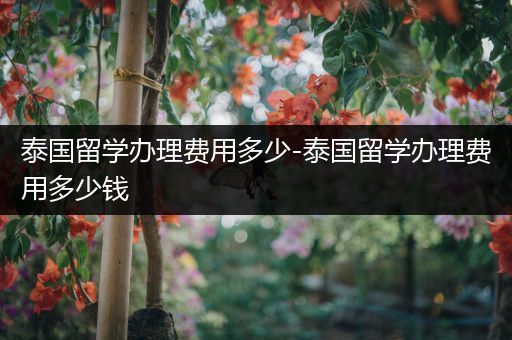 泰国留学办理费用多少-泰国留学办理费用多少钱