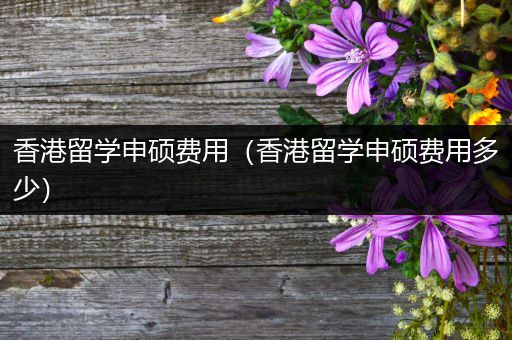 香港留学申硕费用（香港留学申硕费用多少）