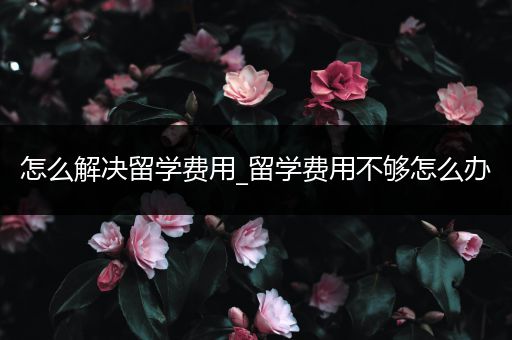 怎么解决留学费用_留学费用不够怎么办