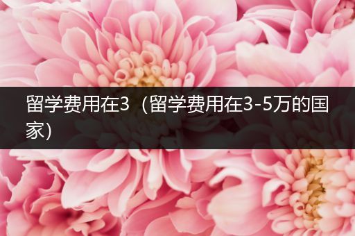 留学费用在3（留学费用在3-5万的国家）