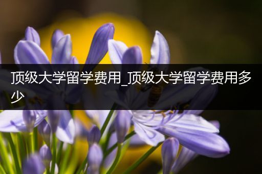 顶级大学留学费用_顶级大学留学费用多少