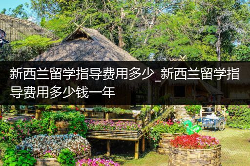 新西兰留学指导费用多少_新西兰留学指导费用多少钱一年
