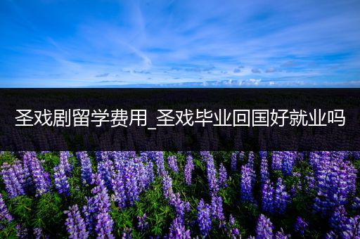 圣戏剧留学费用_圣戏毕业回国好就业吗