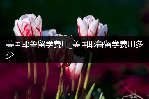 美国耶鲁留学费用_美国耶鲁留学费用多少