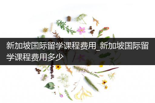 新加坡国际留学课程费用_新加坡国际留学课程费用多少