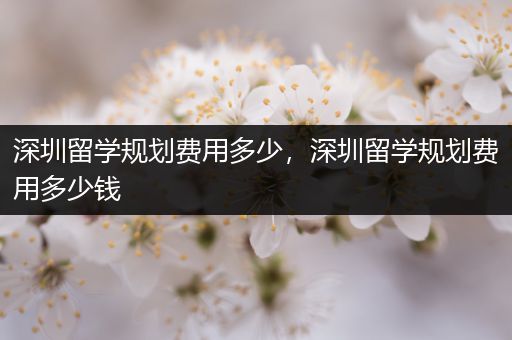 深圳留学规划费用多少，深圳留学规划费用多少钱