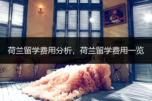 荷兰留学费用分析，荷兰留学费用一览