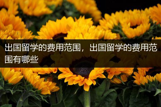 出国留学的费用范围，出国留学的费用范围有哪些