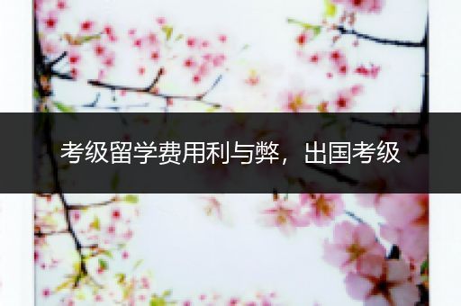 考级留学费用利与弊，出国考级