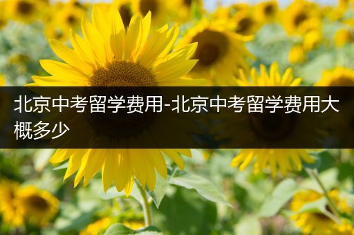 北京中考留学费用-北京中考留学费用大概多少