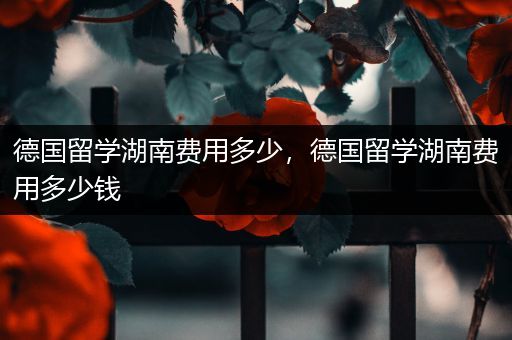 德国留学湖南费用多少，德国留学湖南费用多少钱