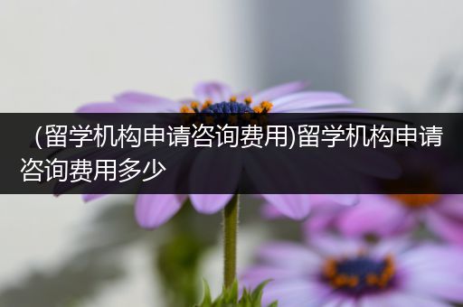 （留学机构申请咨询费用)留学机构申请咨询费用多少