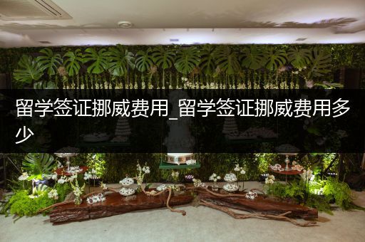 留学签证挪威费用_留学签证挪威费用多少