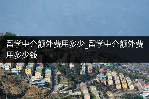 留学中介额外费用多少_留学中介额外费用多少钱