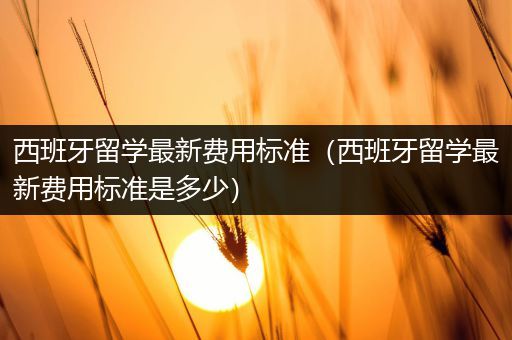 西班牙留学最新费用标准（西班牙留学最新费用标准是多少）