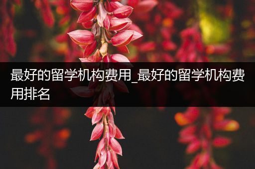 最好的留学机构费用_最好的留学机构费用排名