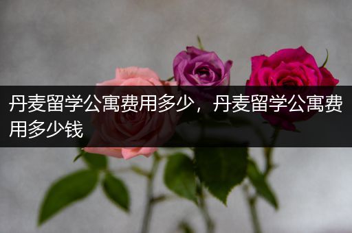 丹麦留学公寓费用多少，丹麦留学公寓费用多少钱