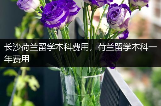 长沙荷兰留学本科费用，荷兰留学本科一年费用