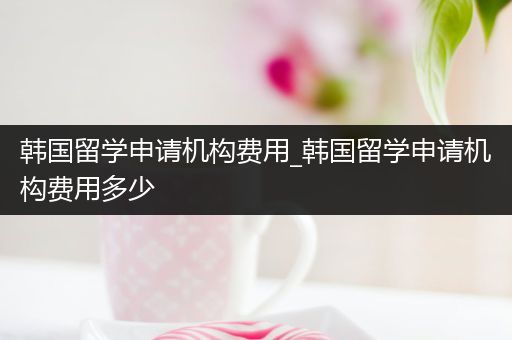 韩国留学申请机构费用_韩国留学申请机构费用多少