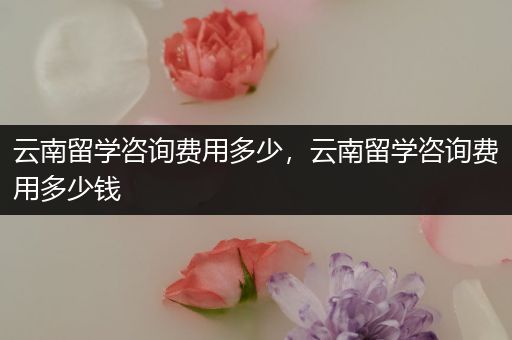 云南留学咨询费用多少，云南留学咨询费用多少钱