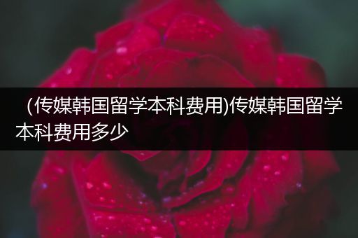 （传媒韩国留学本科费用)传媒韩国留学本科费用多少