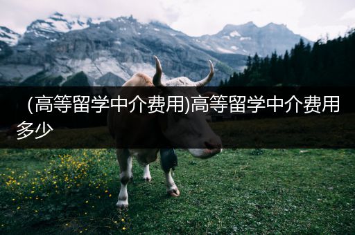 （高等留学中介费用)高等留学中介费用多少