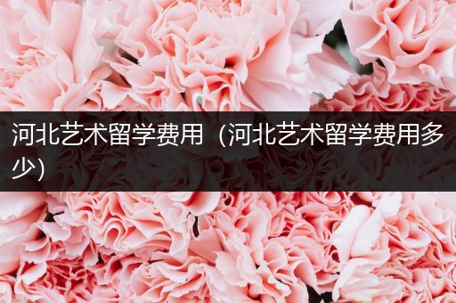 河北艺术留学费用（河北艺术留学费用多少）