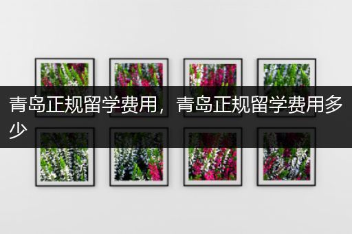 青岛正规留学费用，青岛正规留学费用多少