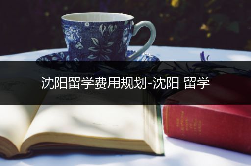 沈阳留学费用规划-沈阳 留学