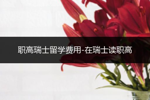 职高瑞士留学费用-在瑞士读职高