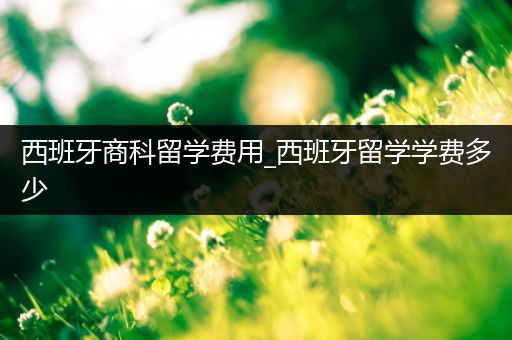 西班牙商科留学费用_西班牙留学学费多少