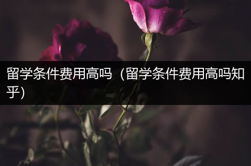 留学条件费用高吗（留学条件费用高吗知乎）