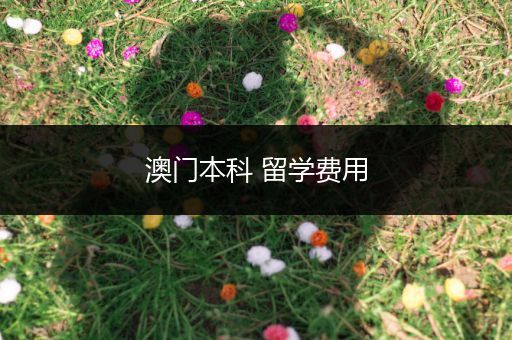 澳门本科 留学费用