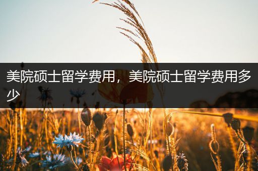 美院硕士留学费用，美院硕士留学费用多少