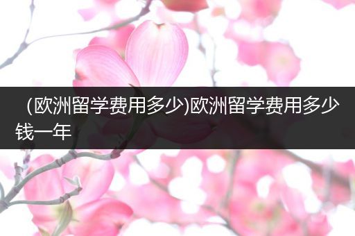 （欧洲留学费用多少)欧洲留学费用多少钱一年