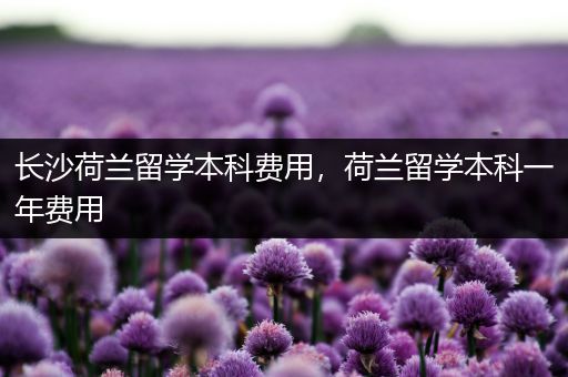 长沙荷兰留学本科费用，荷兰留学本科一年费用