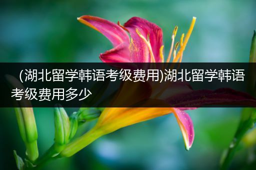 （湖北留学韩语考级费用)湖北留学韩语考级费用多少