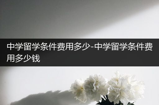 中学留学条件费用多少-中学留学条件费用多少钱