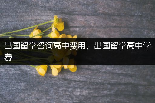 出国留学咨询高中费用，出国留学高中学费