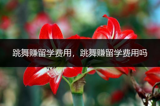 跳舞赚留学费用，跳舞赚留学费用吗