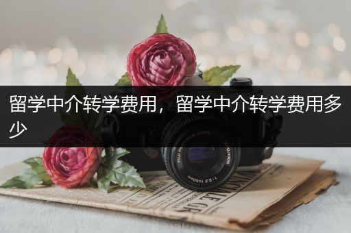 留学中介转学费用，留学中介转学费用多少