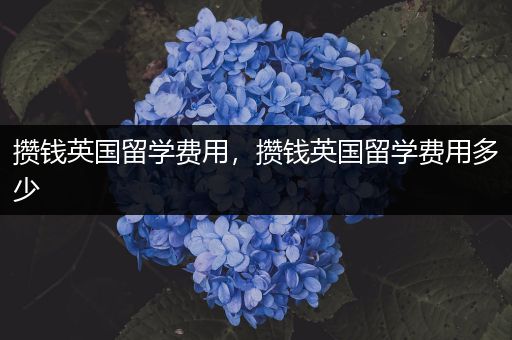 攒钱英国留学费用，攒钱英国留学费用多少