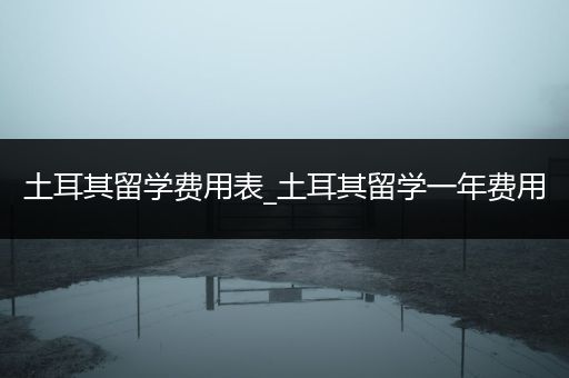 土耳其留学费用表_土耳其留学一年费用