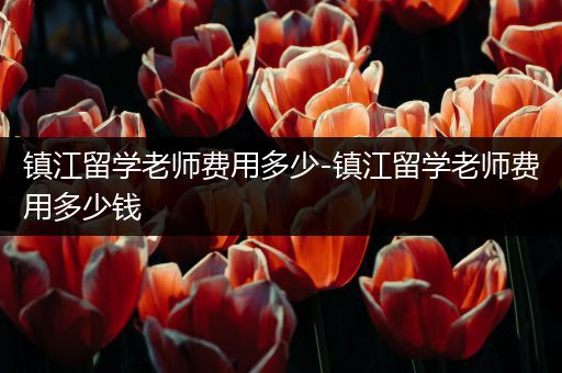 镇江留学老师费用多少-镇江留学老师费用多少钱