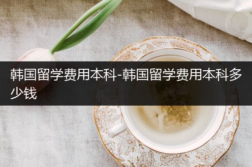韩国留学费用本科-韩国留学费用本科多少钱