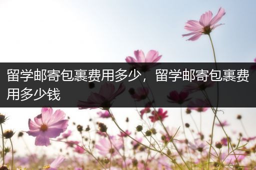 留学邮寄包裹费用多少，留学邮寄包裹费用多少钱