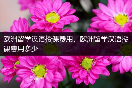 欧洲留学汉语授课费用，欧洲留学汉语授课费用多少